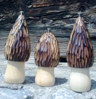 Pilze